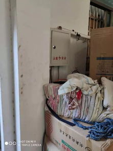 义乌市满果日用品厂 打造高品质日用百货的领军企业